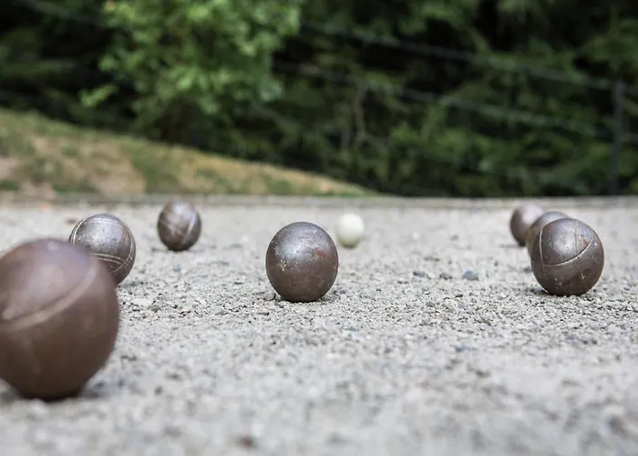 Hillside Family 더뷔